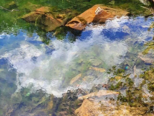 #reflection #patternsinnature #water