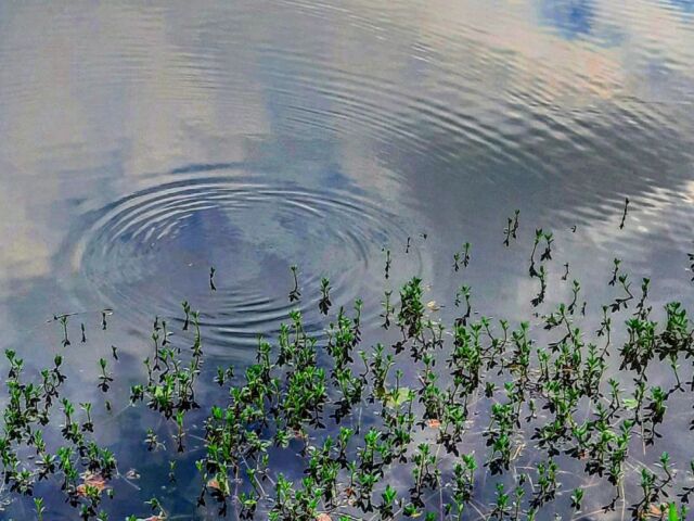 #reflection #patternsinnature #ripple #clouds