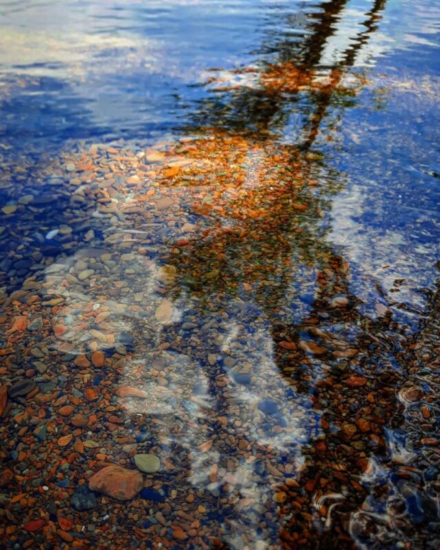 #reflection #patternsinnature #pebbles
