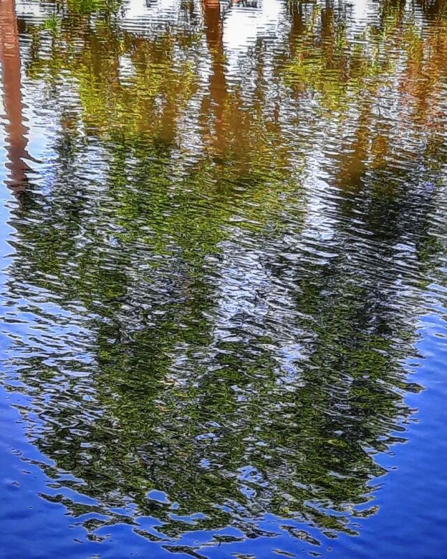#reflection #ripple