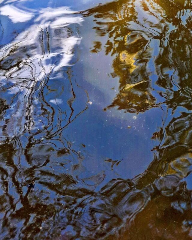 #reflection #ripple #patternsinnature