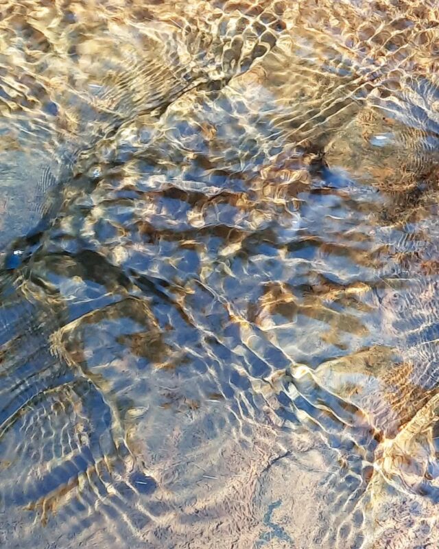 #ripple #reflection #patternsinnature