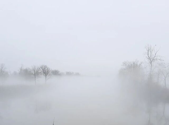 #winter #fog