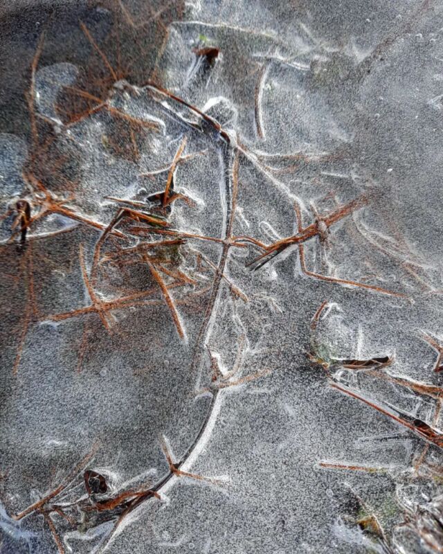 #ice #grass